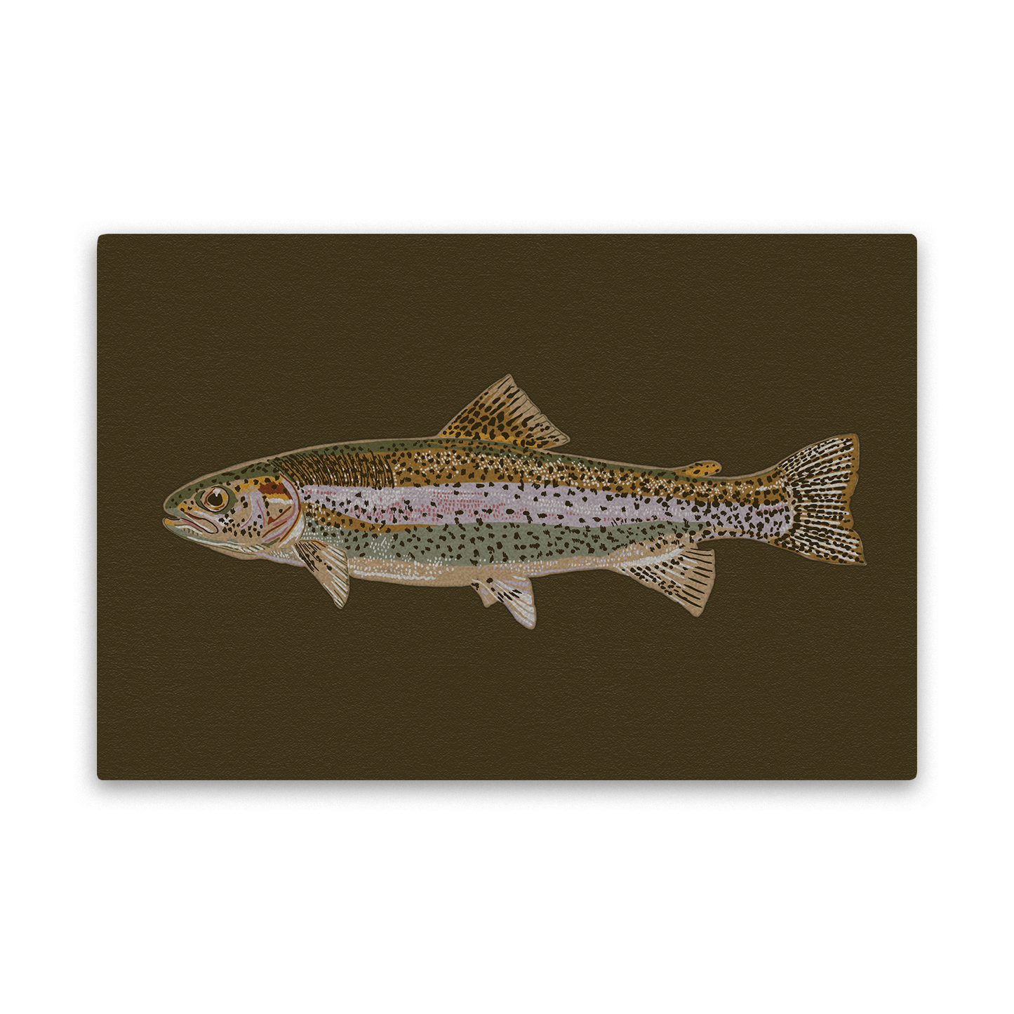 Rainbow Trout